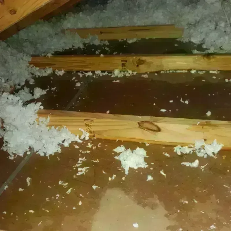 Attic Water Damage in Churchville, NY